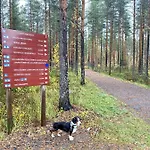 Playa Del Finland Villa Seinäjoki